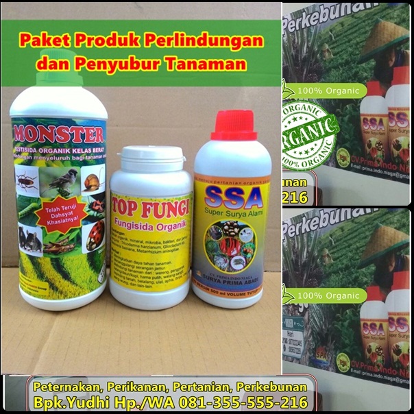 jual-pupuk-organik-cair-ssa-harga-poc-ssa-distributor-pupuk-tanaman-buah-pupuk-organik-penguat-akar-jual-pupuk-perangsang-buah-pupuk-penguat-batang-pupuk-pembasmi-hama